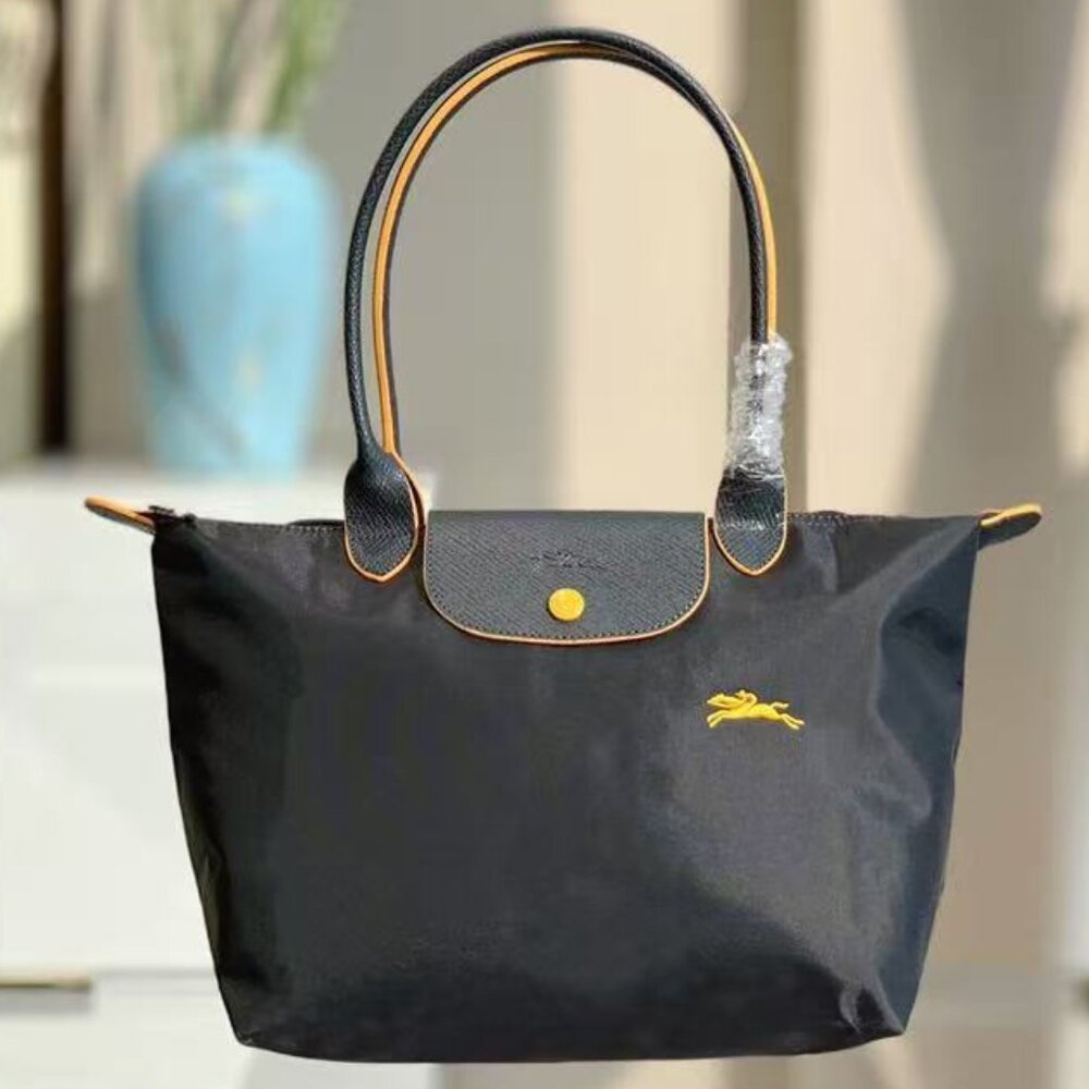 Longchamp underarm bag